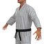 Karate Fighter Rigged per Cinema 4D