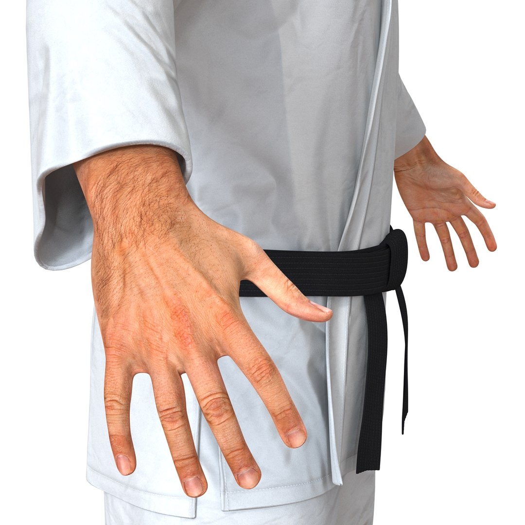 3d karate fighter rigged model https://p.turbosquid.com/ts-thumb/tp/NmCeKh/SwK4ZEjS/karatefighterriggedcinemac4d3dmodel30/jpg/1487090745/1920x1080/fit_q87/ca93515faffd1ae505b8c3e8a8edce95a5f40b03/karatefighterriggedcinemac4d3dmodel30.jpg
