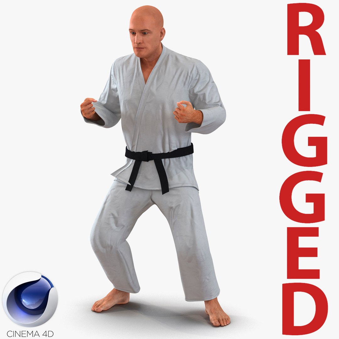 Karate Fighter Rigged for Cinema 4D 3D Model 3D model preview
