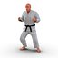 Karate Fighter Rigged per Cinema 4D