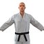 Karate Fighter Rigged per Cinema 4D