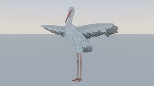 Stork