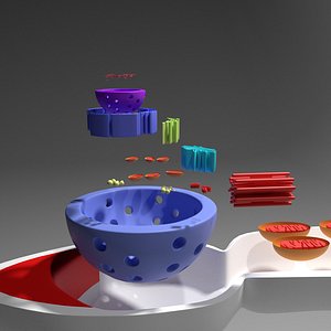 Sperm cell for 3D PRINTING 3D model