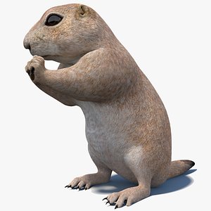 3D Rigged Prairie Dog 3D Model