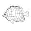 tfish11