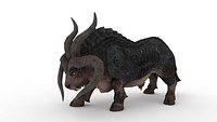 Wild bull