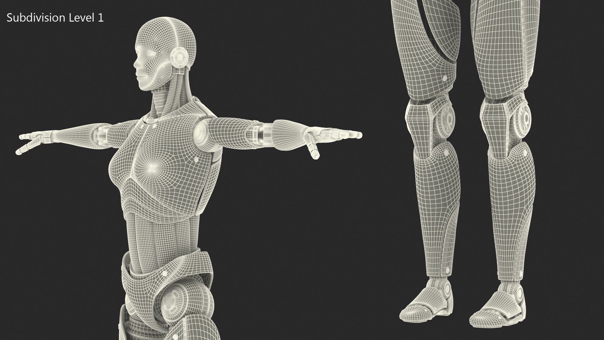 Cyborg Female Rigged for Maya 3D https://p.turbosquid.com/ts-thumb/tq/4ZlJ8A/zK/cyborgfemaleriggedformayamb3dmodel030/jpg/1691381238/1920x1080/fit_q87/d90e8f6cb72e5e3f5e3e489db9c0357a113a4ad6/cyborgfemaleriggedformayamb3dmodel030.jpg