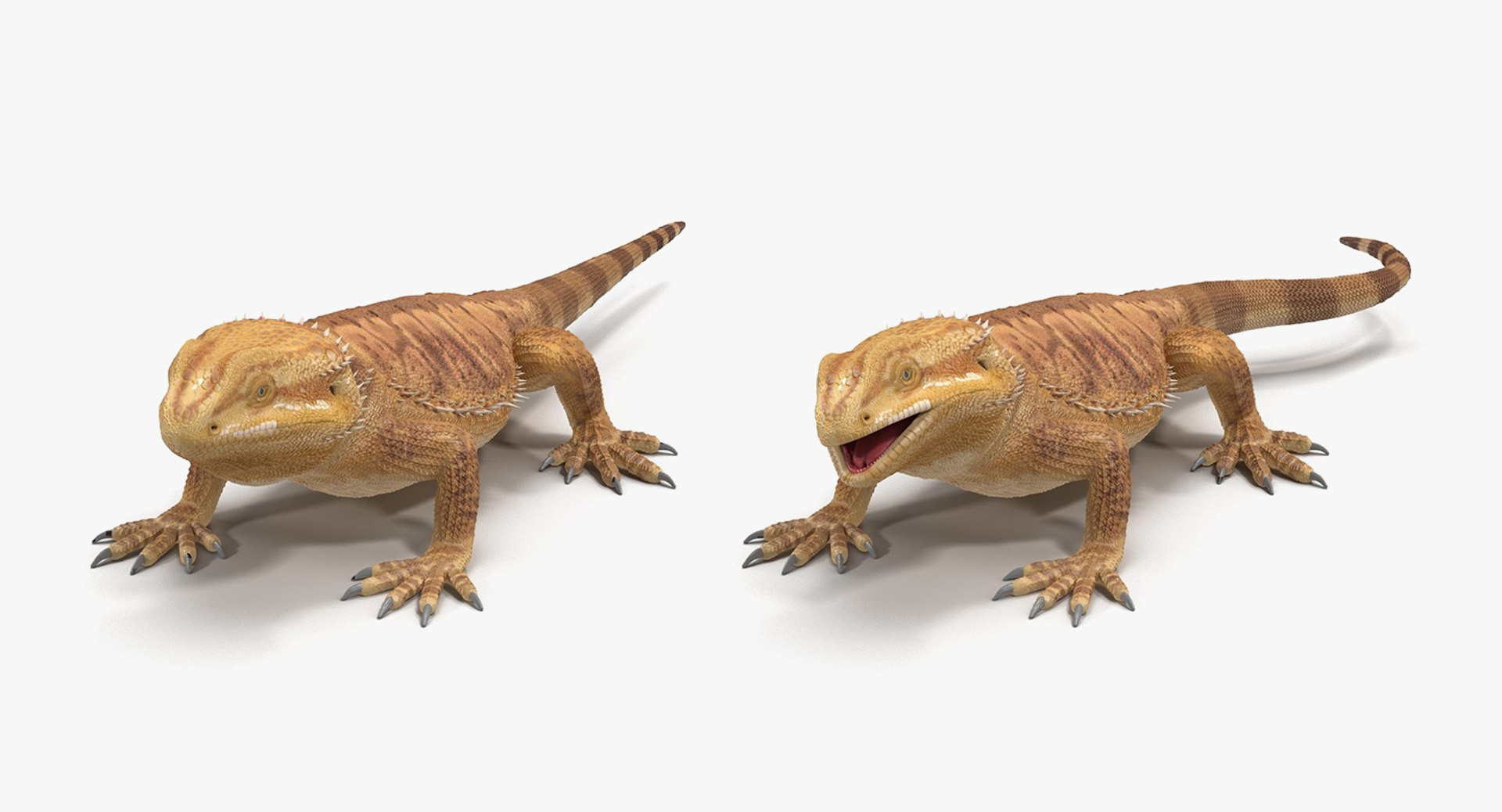 3D lizards rigged 2 - TurboSquid 1514887