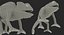 3D lizards rigged 2