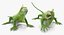 3D lizards rigged 2