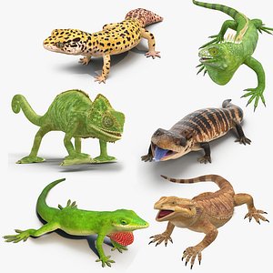 Lizards Rigged Collection 2 for Cinema 4D