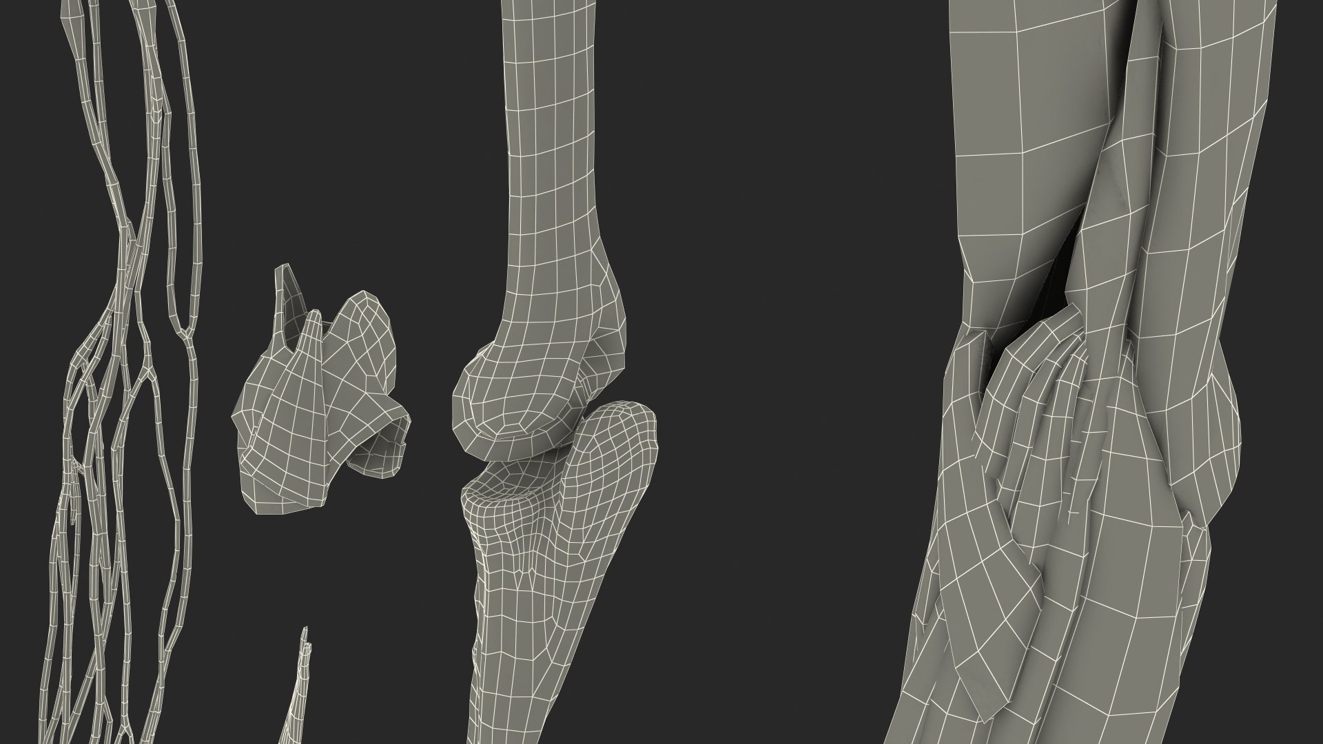 3D Girl Arm Anatomy https://p.turbosquid.com/ts-thumb/tq/FyLCVa/5Q/girlarmanatomy3dmodel038/jpg/1661176212/1920x1080/fit_q87/4b280c1dfabf4b96d6e0d01a7aa0c656daf4c74d/girlarmanatomy3dmodel038.jpg