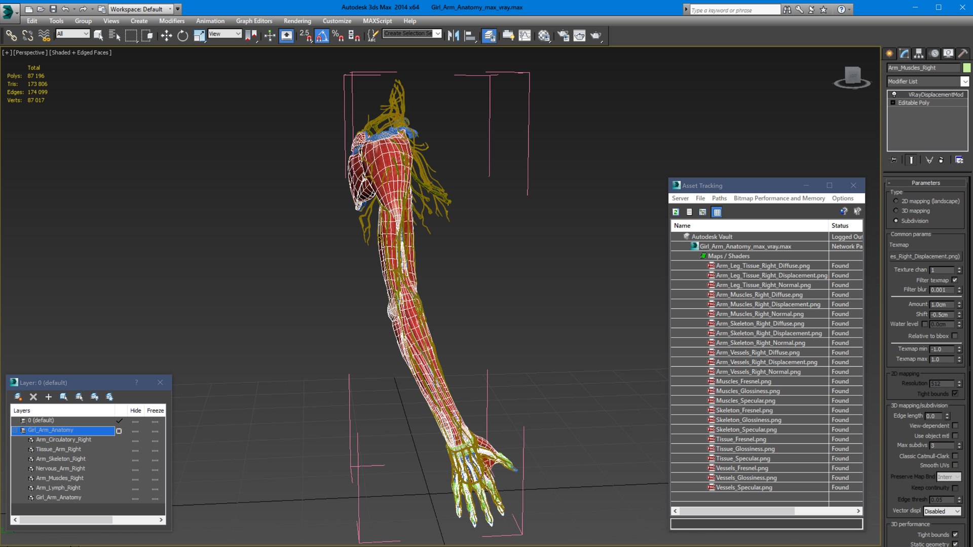 3D Girl Arm Anatomy https://p.turbosquid.com/ts-thumb/tq/FyLCVa/71/girlarmanatomy3dmodel027/jpg/1661176176/1920x1080/fit_q87/c0efc42f1fcede1f1c6c69b94663296c0901dfeb/girlarmanatomy3dmodel027.jpg