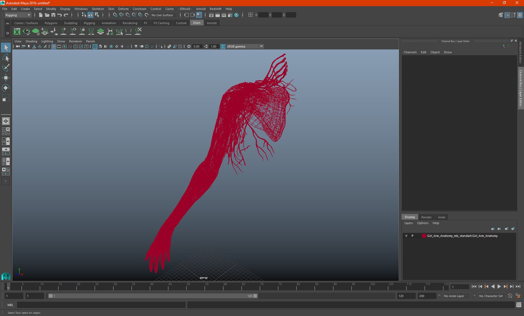 3D Girl Arm Anatomy https://p.turbosquid.com/ts-thumb/tq/FyLCVa/EE/girlarmanatomy3dmodel029/jpg/1661176182/1920x1080/fit_q87/aca367ad771ba28d0c0d996628d465c8425634ff/girlarmanatomy3dmodel029.jpg