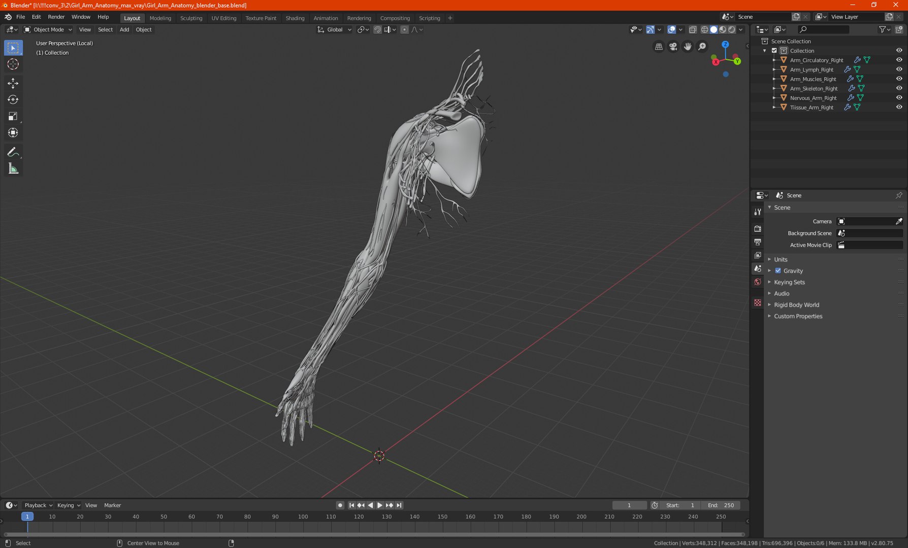 3D Girl Arm Anatomy https://p.turbosquid.com/ts-thumb/tq/FyLCVa/Fy/girlarmanatomy3dmodel030/jpg/1661176186/1920x1080/fit_q87/dab7826a737f8475ee1ed56555f9396b0c7cde48/girlarmanatomy3dmodel030.jpg