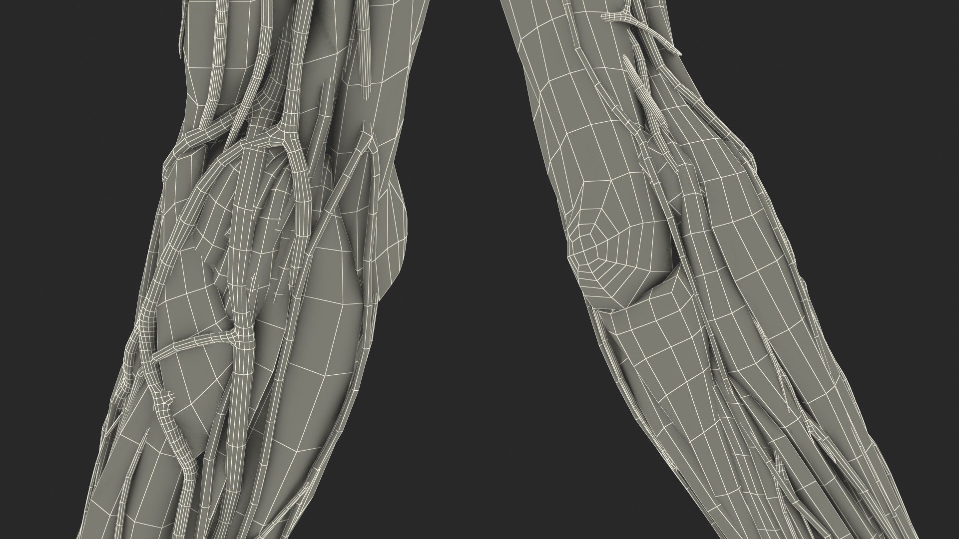 3D Girl Arm Anatomy https://p.turbosquid.com/ts-thumb/tq/FyLCVa/nk/girlarmanatomy3dmodel034/jpg/1661176199/1920x1080/fit_q87/2f176c94051453f4df28b1d0cbaf606af28e7e98/girlarmanatomy3dmodel034.jpg