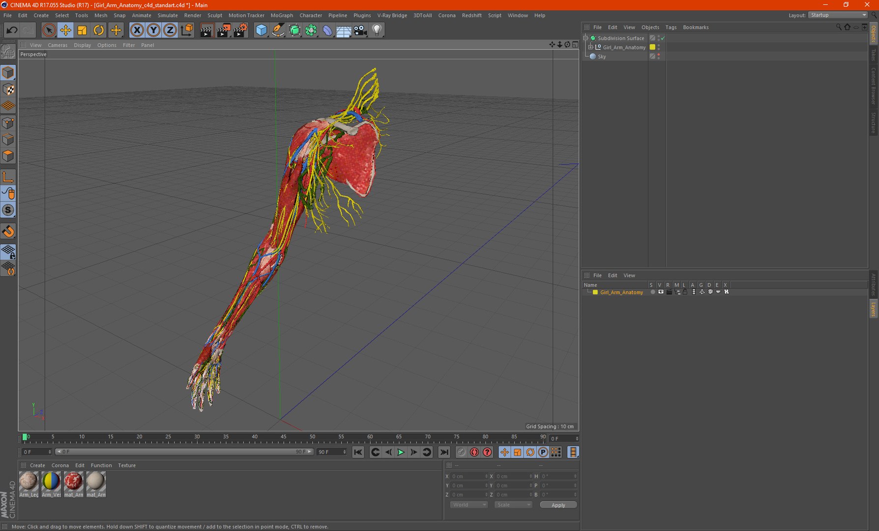 3D Girl Arm Anatomy https://p.turbosquid.com/ts-thumb/tq/FyLCVa/rI/girlarmanatomy3dmodel028/jpg/1661176179/1920x1080/fit_q87/1da1468a9ed90417436fa3d9e004d2b2d7ea9b2a/girlarmanatomy3dmodel028.jpg
