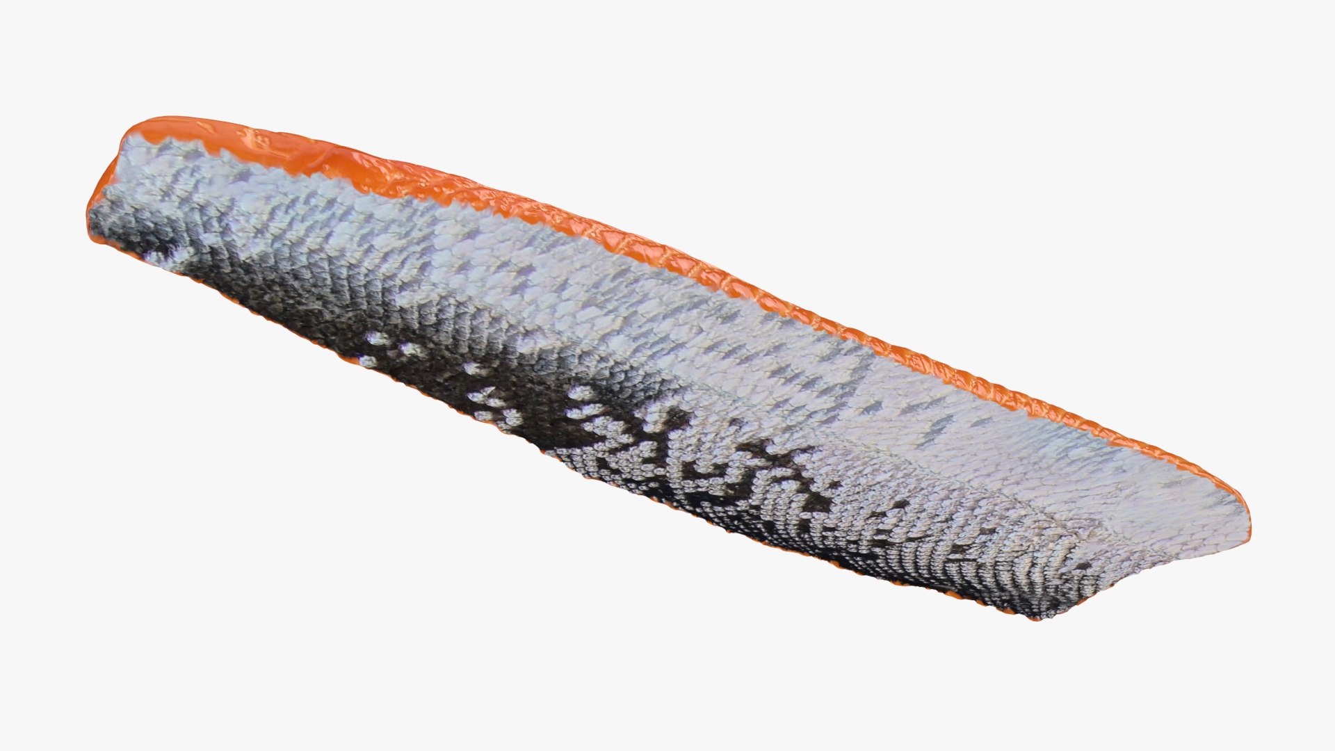 Salmon Fillet 03 3D https://p.turbosquid.com/ts-thumb/tq/UaDEh7/Bk/salmonfilletv3_b0018/jpg/1727199659/1920x1080/fit_q87/780469c7ec6a3acf088606da7010319d7eb7073c/salmonfilletv3_b0018.jpg
