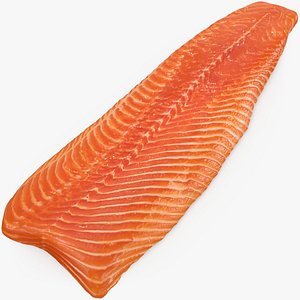 Salmon Fillet 03
