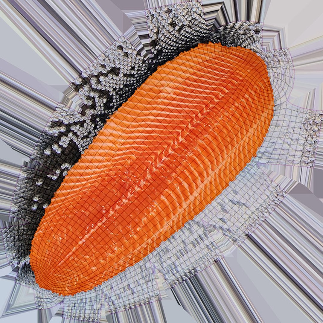 Salmon Fillet 03 3D https://p.turbosquid.com/ts-thumb/tq/UaDEh7/VT/salmonfilletv3_d0004/jpg/1727199662/1920x1080/fit_q87/0e85541c549655153e5ac43d02187deca42034d9/salmonfilletv3_d0004.jpg