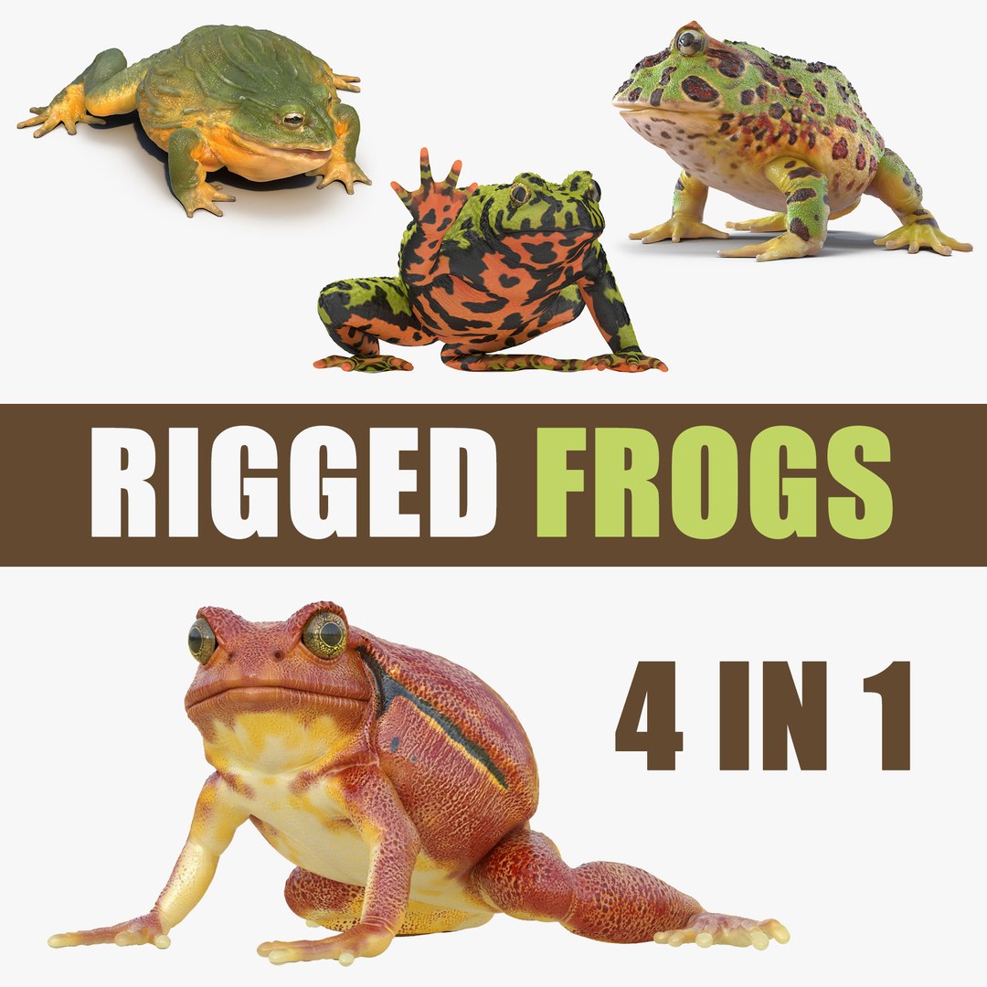 Rigged Frogs 3D Models Collection 3 3D model preview