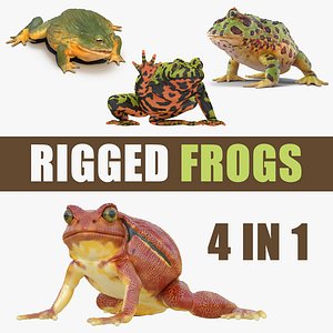 3D rigged frogs 3