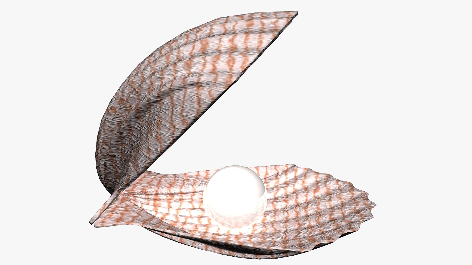 3D Seashell https://p.turbosquid.com/ts-thumb/tq/l47FY1/bM/04/jpg/1620997748/1920x1080/fit_q87/702c56688f1dced1d0b2085dabd7599e31a115d7/04.jpg