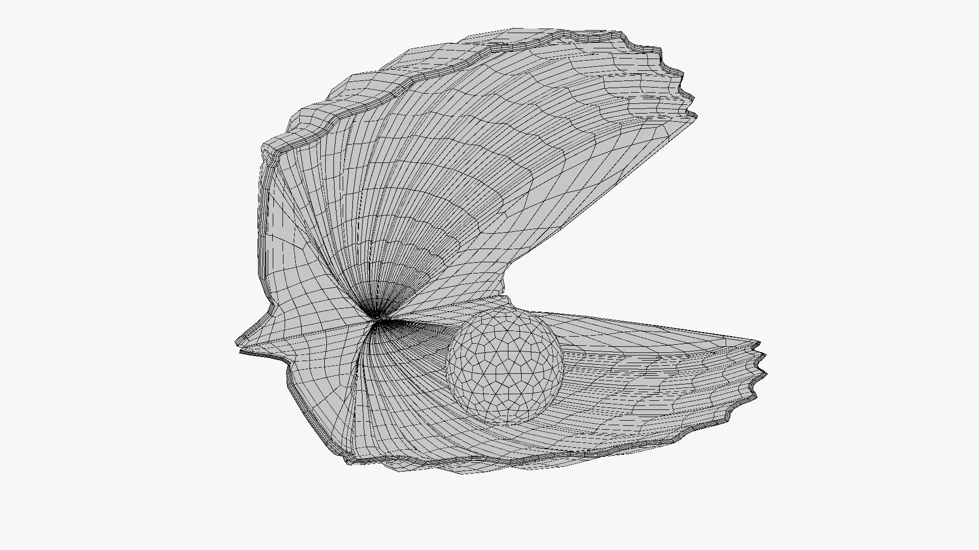 3D Seashell https://p.turbosquid.com/ts-thumb/tq/l47FY1/ep/06/jpg/1620997772/1920x1080/fit_q87/042656e346d7fc2bd5e06eaa4684af5cf85b6d2b/06.jpg