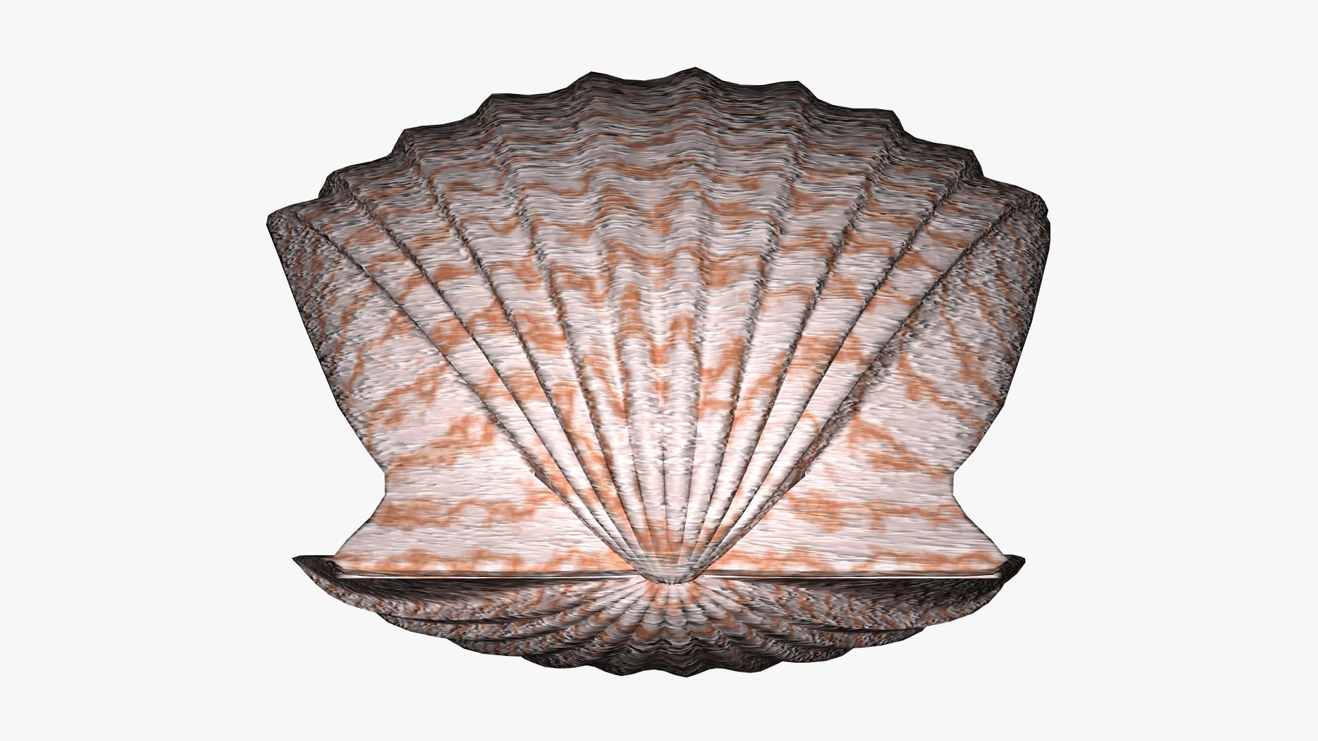 3D Seashell https://p.turbosquid.com/ts-thumb/tq/l47FY1/v3/05/jpg/1620997790/1920x1080/fit_q87/9885a6a6159a007ac78dab9233ffeda28f05d8cc/05.jpg