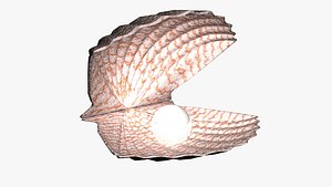3D Seashell