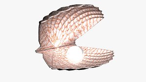 Seashell