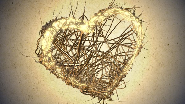 valentine heart growth sequence 3D