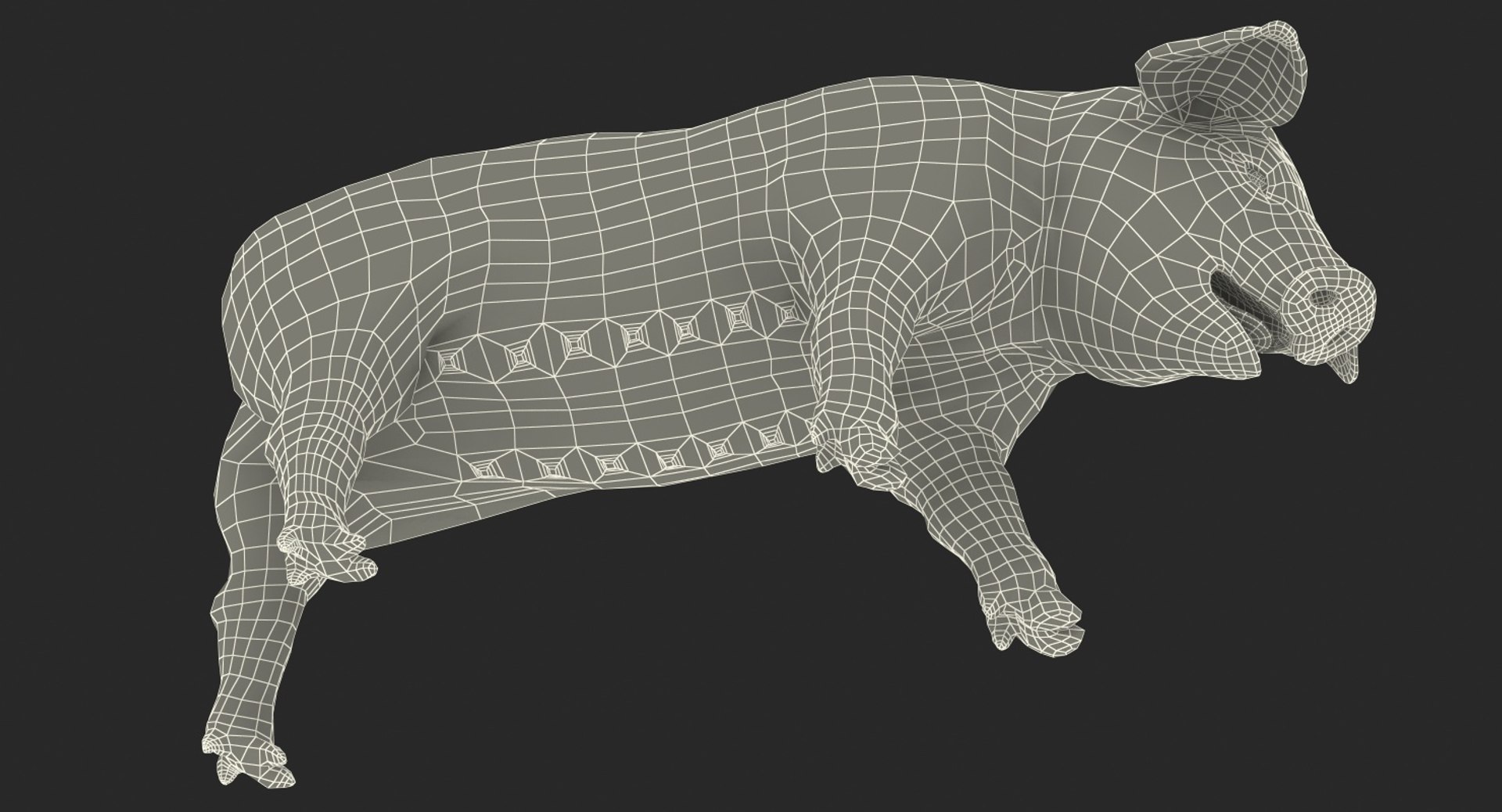 3D hampshire pig piglet standing https://p.turbosquid.com/ts-thumb/tq/vvcWS1/8NQvGFhz/hampshirepigpigletstandingposemb3dmodel017/jpg/1545061164/1920x1080/fit_q87/a6c8a61916dce5c9bd86567f31cadcfc8171d836/hampshirepigpigletstandingposemb3dmodel017.jpg