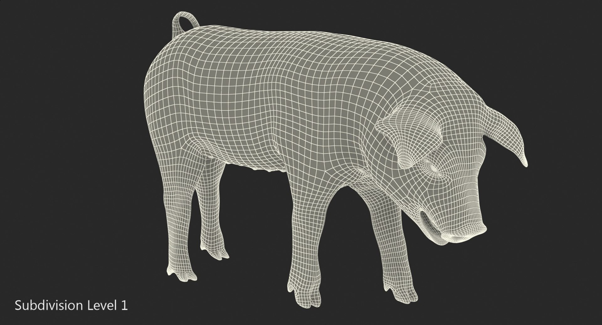 3D hampshire pig piglet standing https://p.turbosquid.com/ts-thumb/tq/vvcWS1/FjJ7d352/hampshirepigpigletstandingposemb3dmodel011/jpg/1545061142/1920x1080/fit_q87/0c9024db6d789b38cfc1e82202aab18b25aa07b3/hampshirepigpigletstandingposemb3dmodel011.jpg