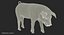 Hampshire Pig Piglet Standing Pose 3D Model