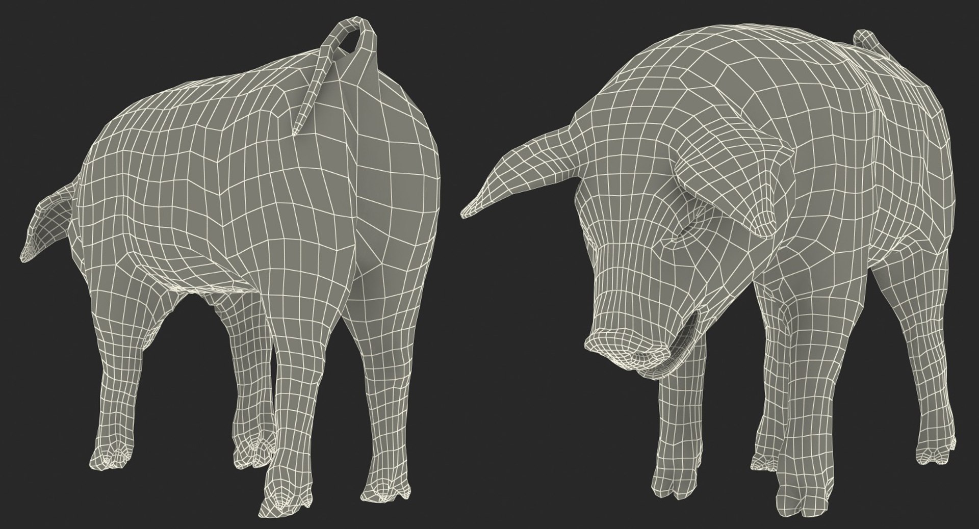3D hampshire pig piglet standing https://p.turbosquid.com/ts-thumb/tq/vvcWS1/MOKJz4EF/hampshirepigpigletstandingposemb3dmodel016/jpg/1545061161/1920x1080/fit_q87/c4add07b4073033fac427ea6645fa6594e0516ca/hampshirepigpigletstandingposemb3dmodel016.jpg