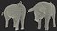 Hampshire Pig Piglet Standing Pose 3D Model