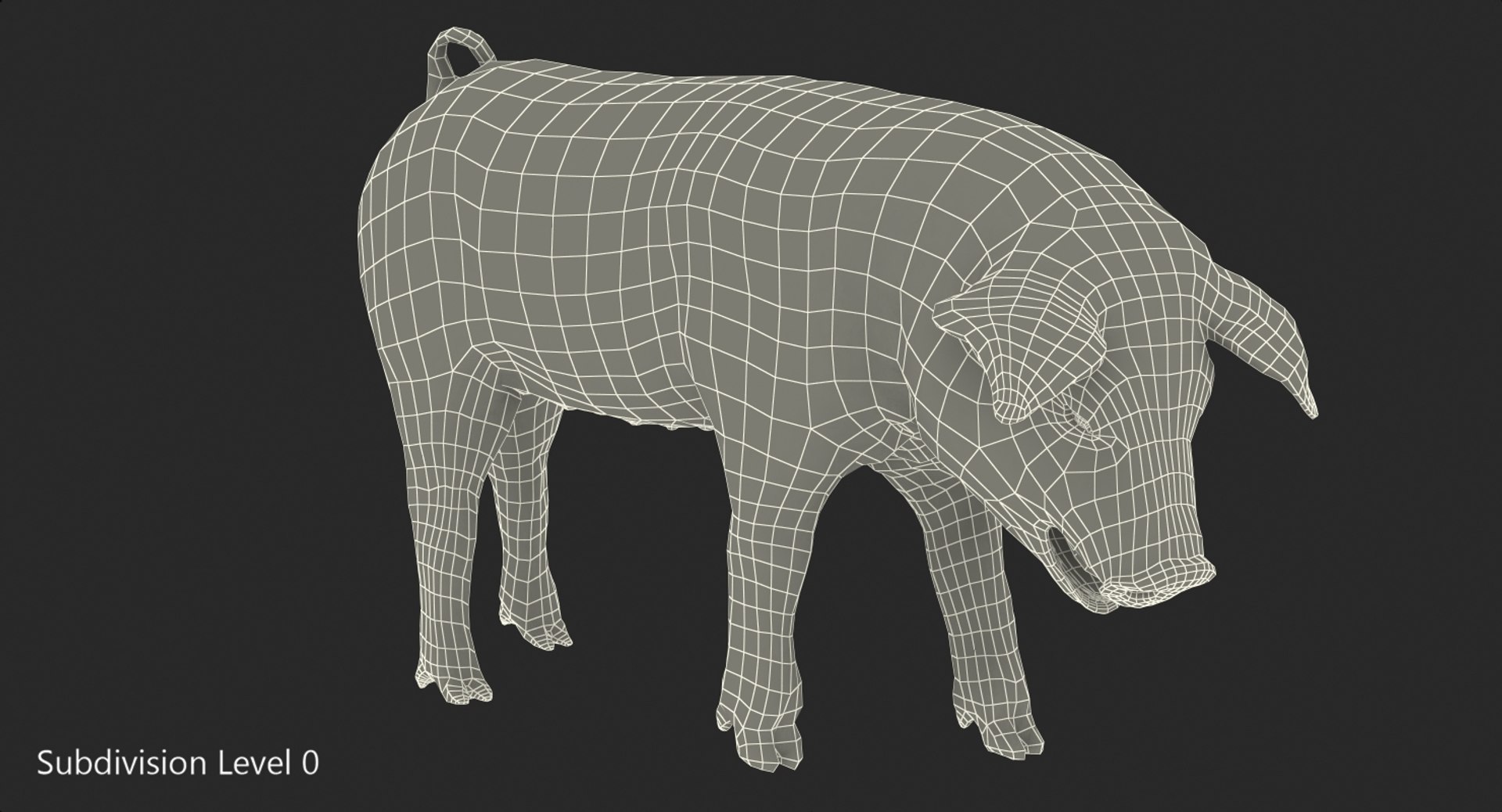 3D hampshire pig piglet standing https://p.turbosquid.com/ts-thumb/tq/vvcWS1/WLufhbfK/hampshirepigpigletstandingposemb3dmodel010/jpg/1545061139/1920x1080/fit_q87/b02461f502f062329249a587f5678d5f0fb45121/hampshirepigpigletstandingposemb3dmodel010.jpg