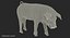 Hampshire Pig Piglet Standing Pose 3D Model