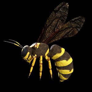 wasp rigged model