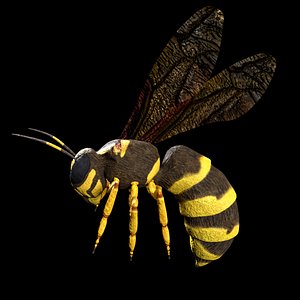 Wasp Rigged Low Poly