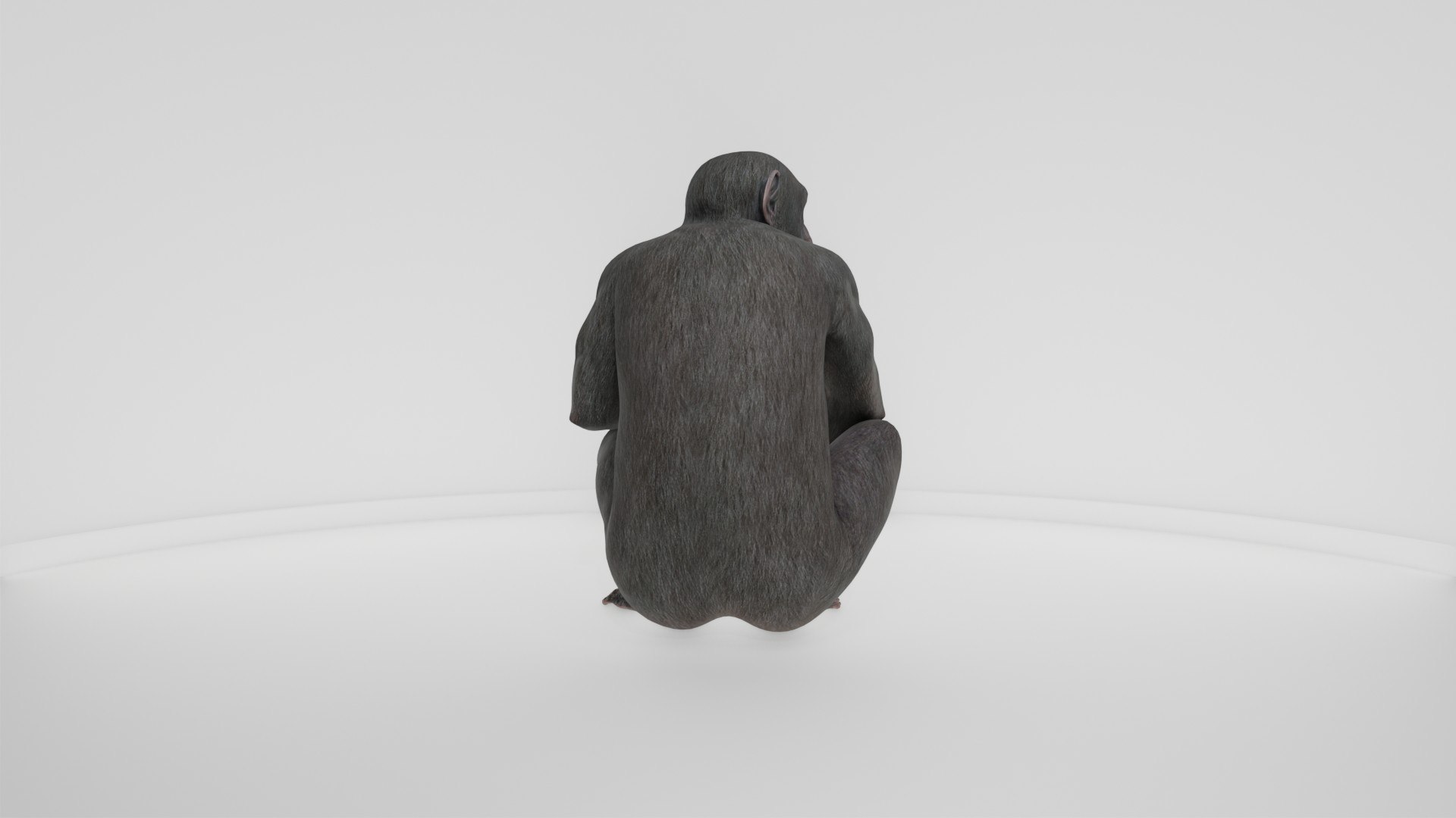 Detailed Realistic Ape 3D model https://p.turbosquid.com/ts-thumb/tr/4KFngL/ml/preview10006/jpg/1778280454/1920x1080/fit_q87/3880e5facab3abbd2d98107dd6402a4a9ce22b90/preview10006.jpg
