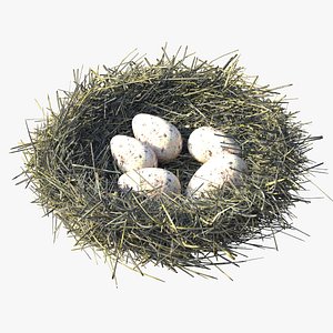 3D model bird s nest