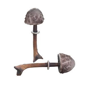 3D Mushroom 17 model
