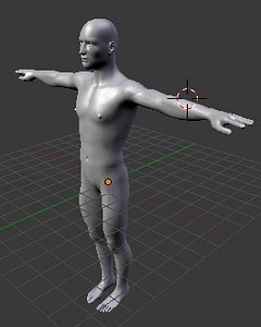 Detailed Man