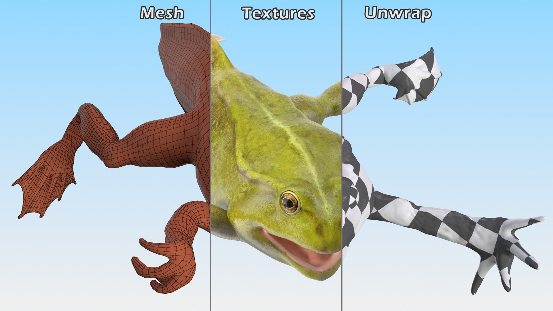 3D legs rigged tadpole https://p.turbosquid.com/ts-thumb/tr/MEfGhD/k8/tadpolewithfourlegsriggedc4dmodel021/jpg/1617063377/1920x1080/fit_q87/2c029b75e1b78f8691b5886f24fce730f6efd072/tadpolewithfourlegsriggedc4dmodel021.jpg