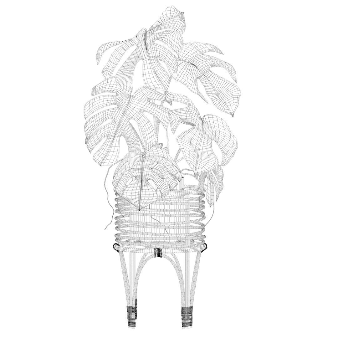 3D Monstera in rattan stand model https://p.turbosquid.com/ts-thumb/tr/QGfoMi/He/1monstera03c/jpg/1649152976/1920x1080/fit_q87/5e545d2bb72a4f295f3134fc502a5b112d0edb5b/1monstera03c.jpg