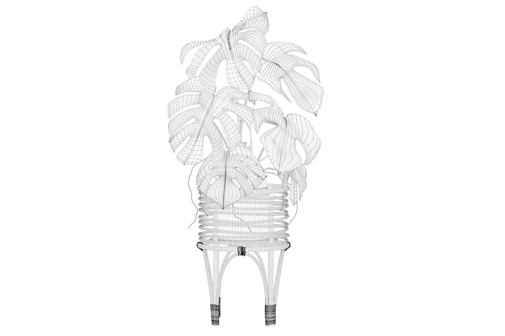 3D Monstera in rattan stand model https://p.turbosquid.com/ts-thumb/tr/QGfoMi/vs/monstera001_ctexmap/jpg/1649152977/1920x1080/fit_q87/cbb5fcacff0b5c4a1ac2aa99b093d48422683c11/monstera001_ctexmap.jpg