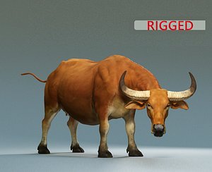 3D model buffalo modeled