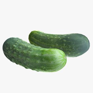 Cucumber High And Low Poly